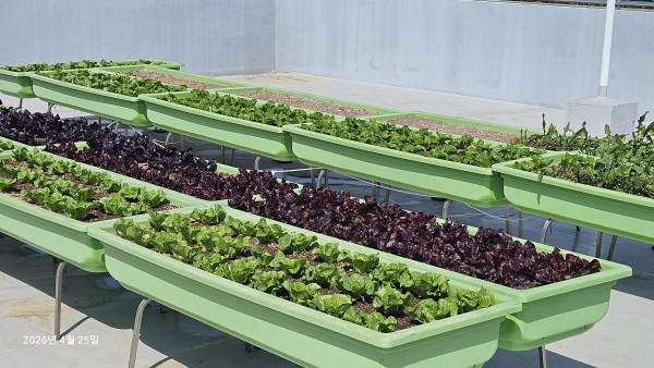 6b824d6262c8c904c36431f4b3e7d7b0_1778828522_7004.jpg